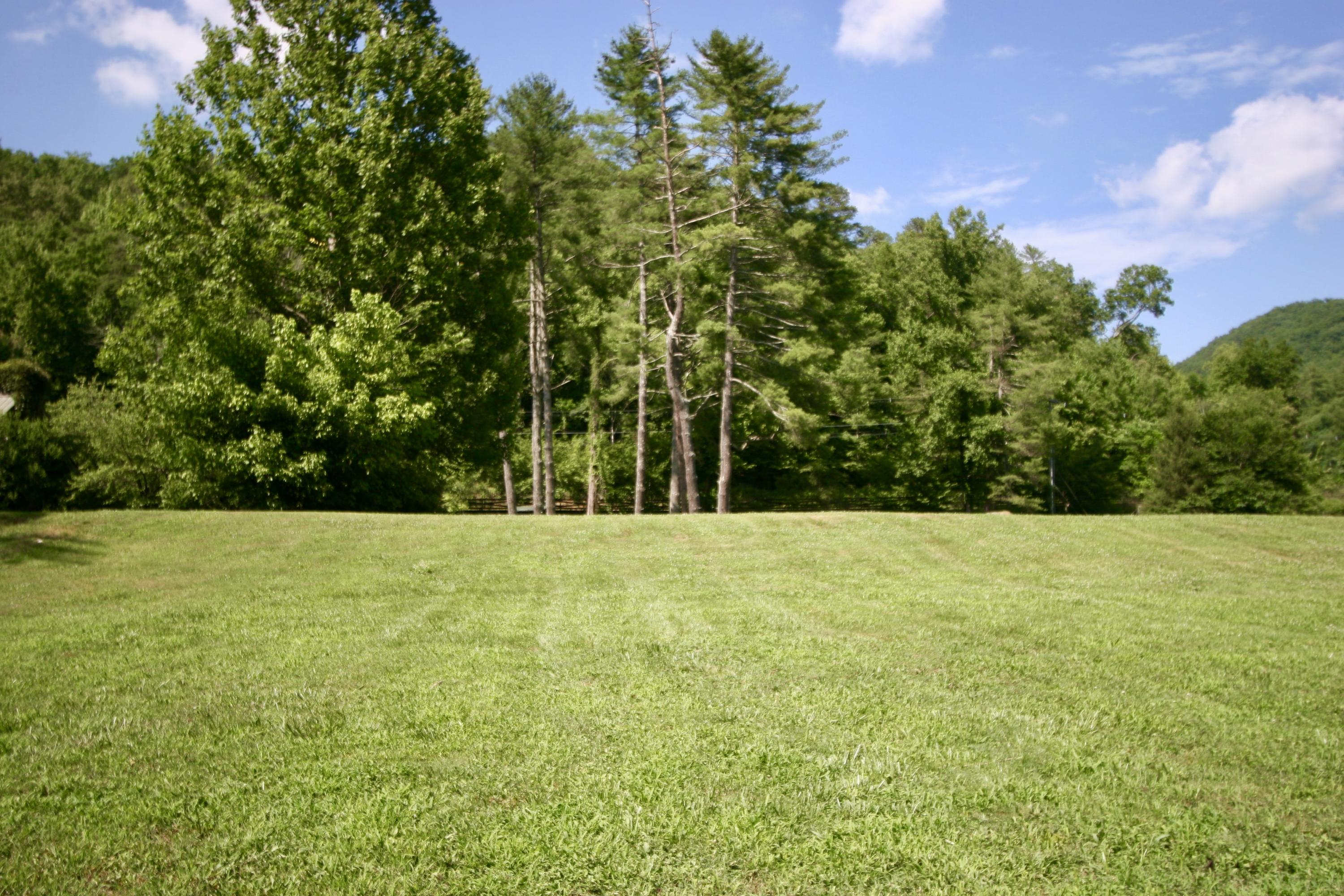 250 Rafter Road Tellico Plains, TN 37385 - Photo 3 of 7 fullsizeoutput_d11