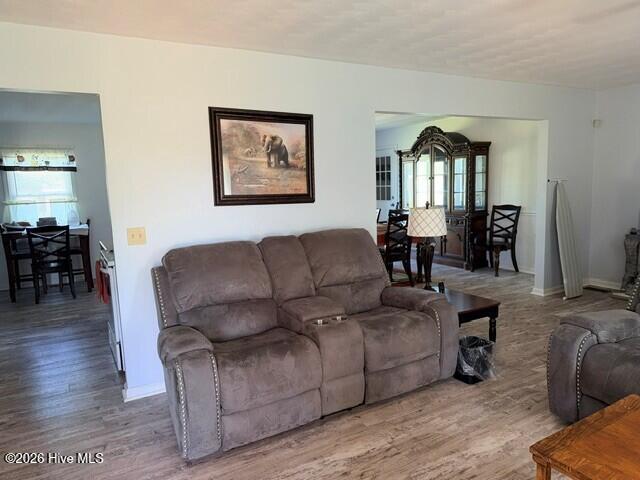 594 Pitts Chapel Road Elizabeth City, NC 27909 - Photo 3 of 18 Large Living Room