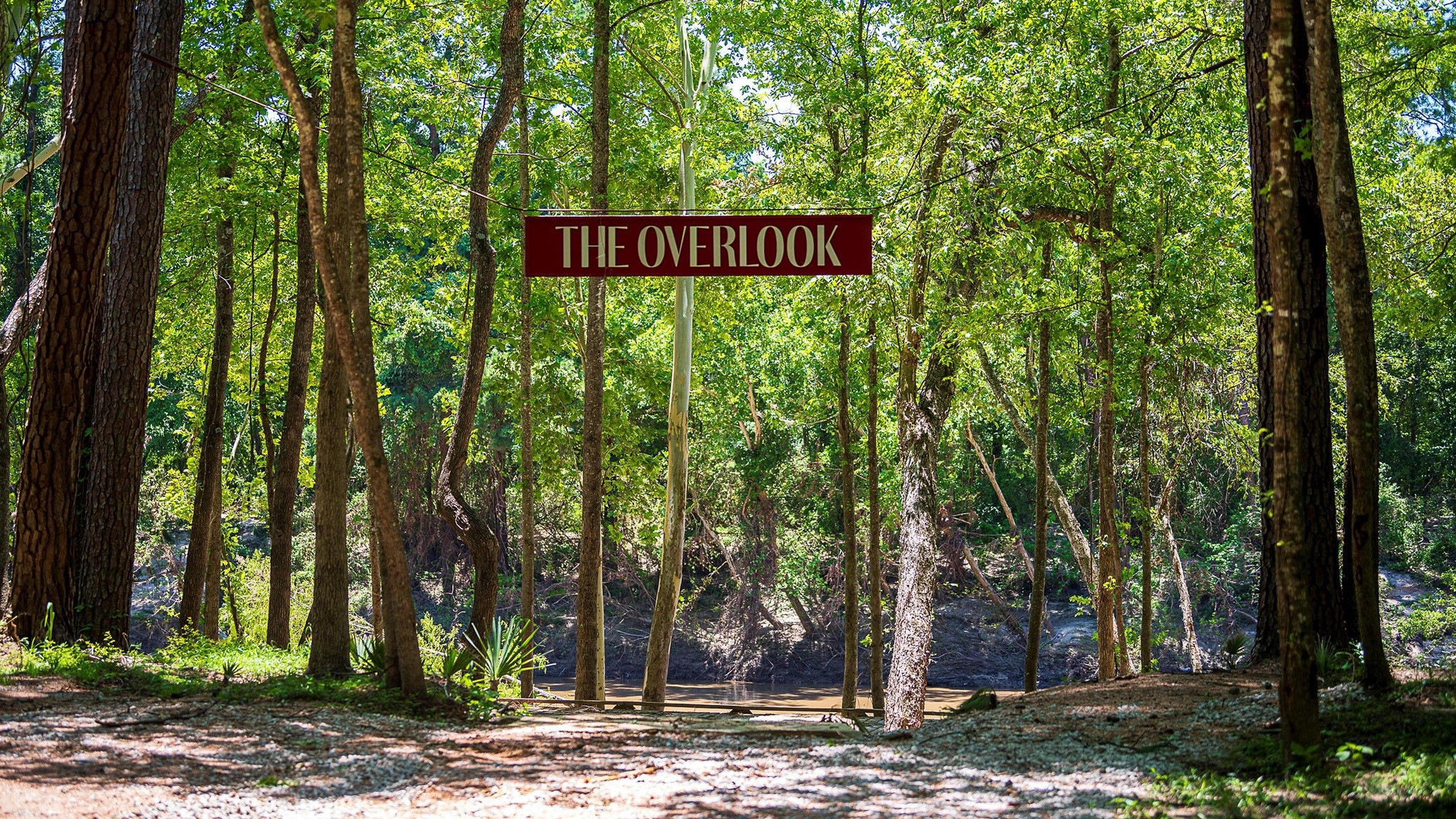 9620 Mount Brewer Lane Porter, TX 77365 - Photo 23 of 25 a sign that is sitting in front of a tree