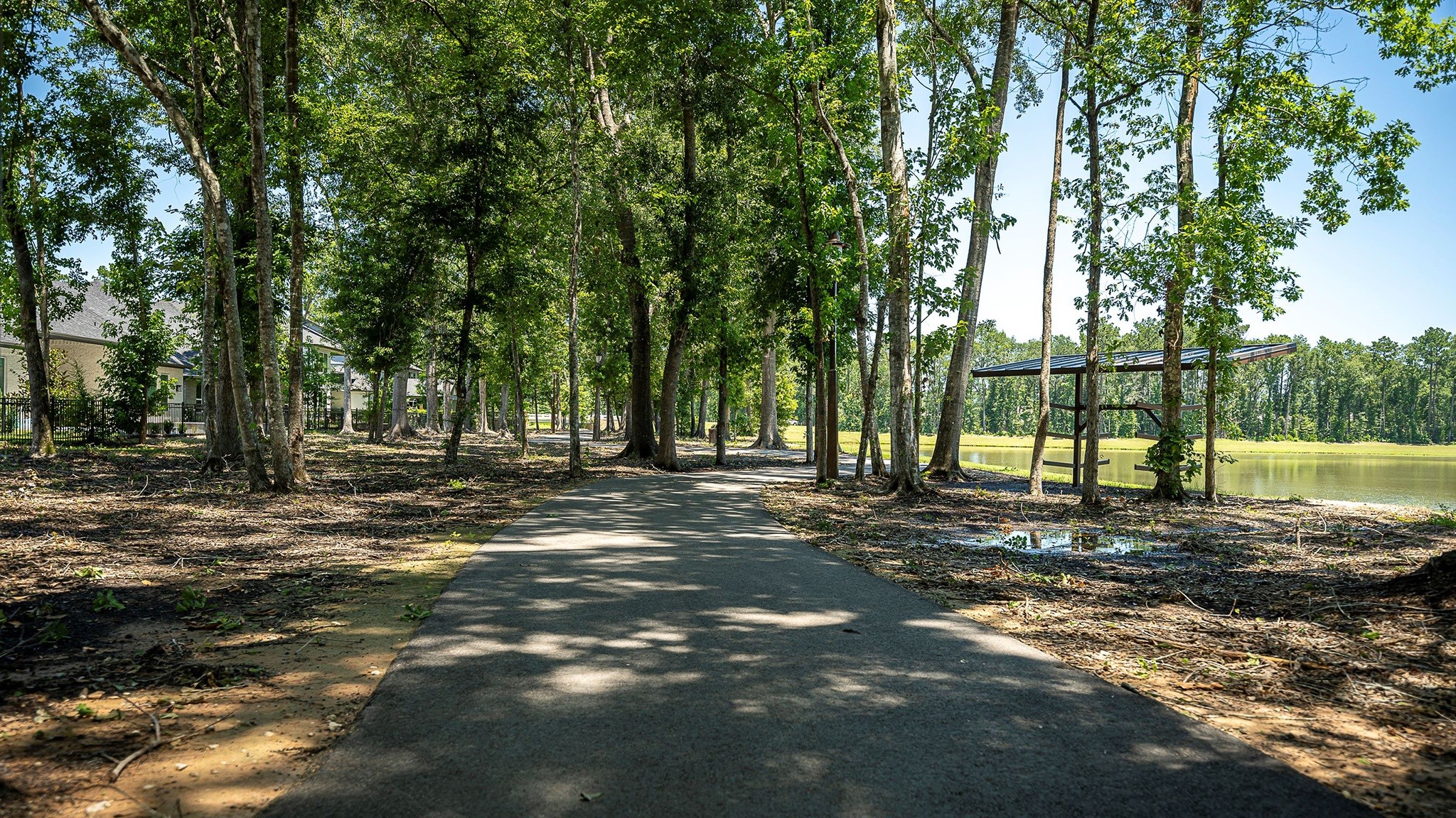 9620 Mount Brewer Lane Porter, TX 77365 - Photo 24 of 25 a view of a yard with a tree