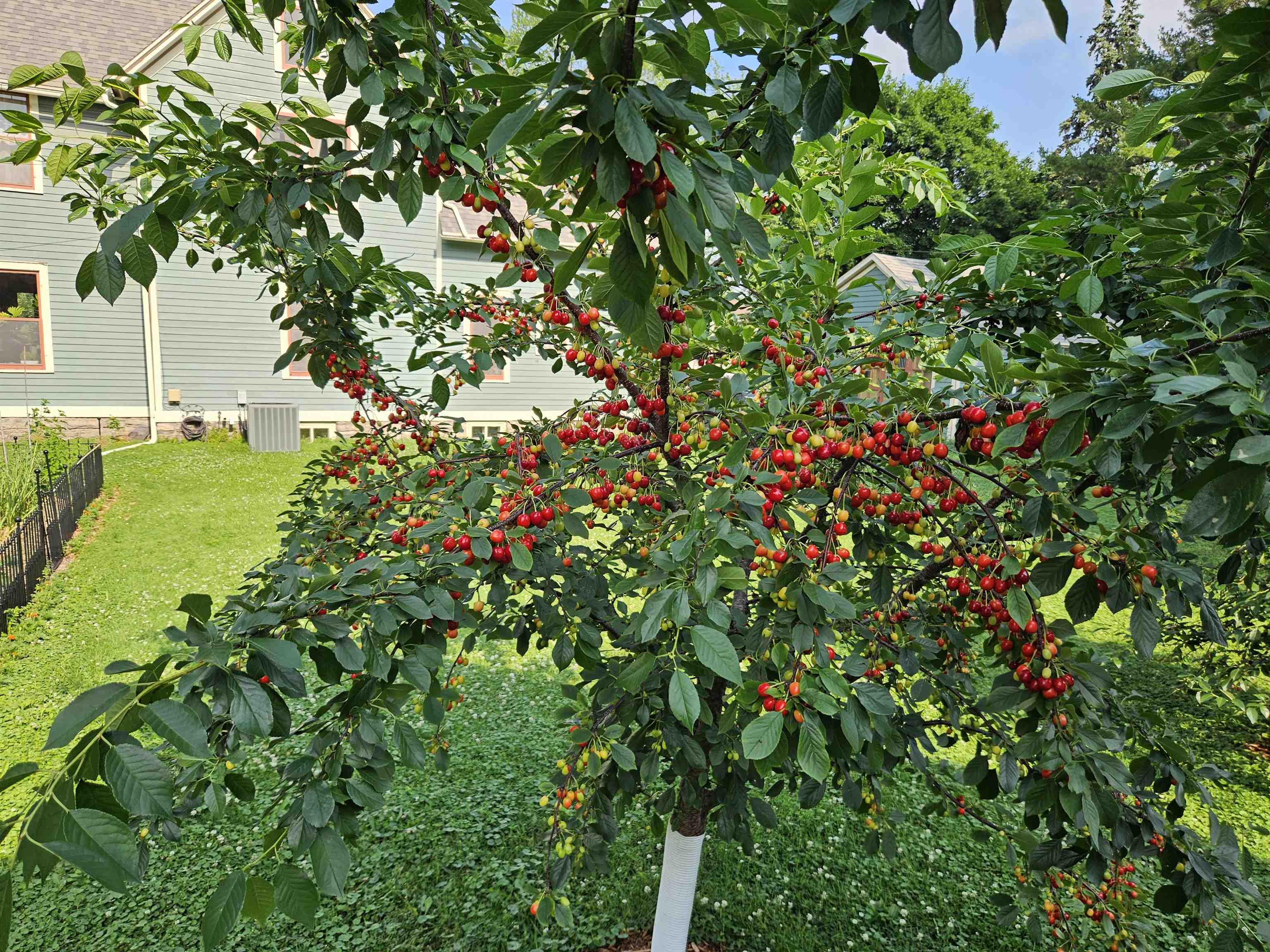 913 West 5th Street Appleton, WI 54914 - Photo 55 of 62