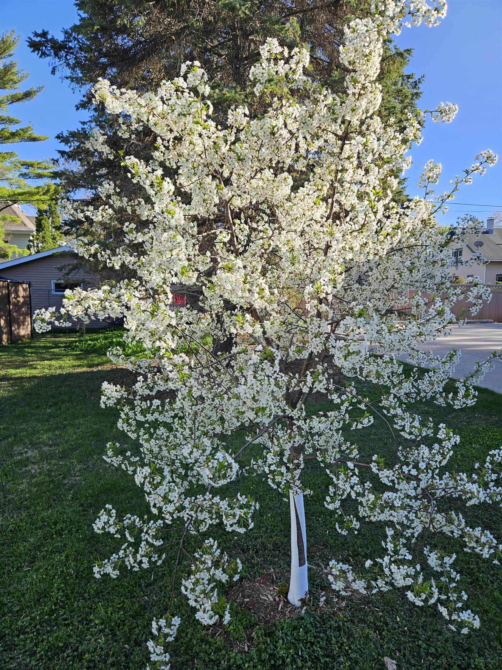 913 West 5th Street Appleton, WI 54914 - Photo 56 of 62