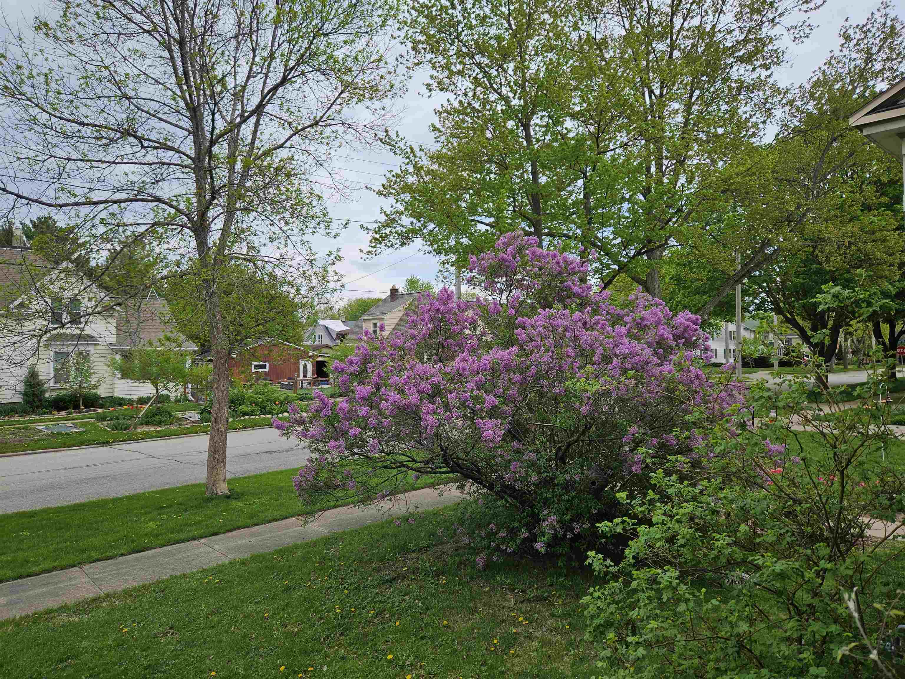 913 West 5th Street Appleton, WI 54914 - Photo 57 of 62