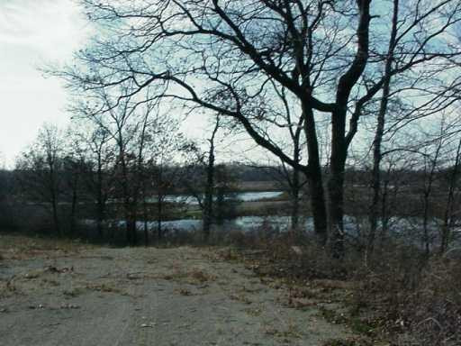 11008 Austin Road Brooklyn, MI 49230 - Photo 4 of 22 Photo 4