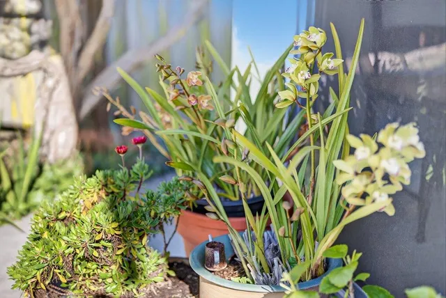 $1,295,000 | 3555 Sevilla Drive, Soquel, CA 95073