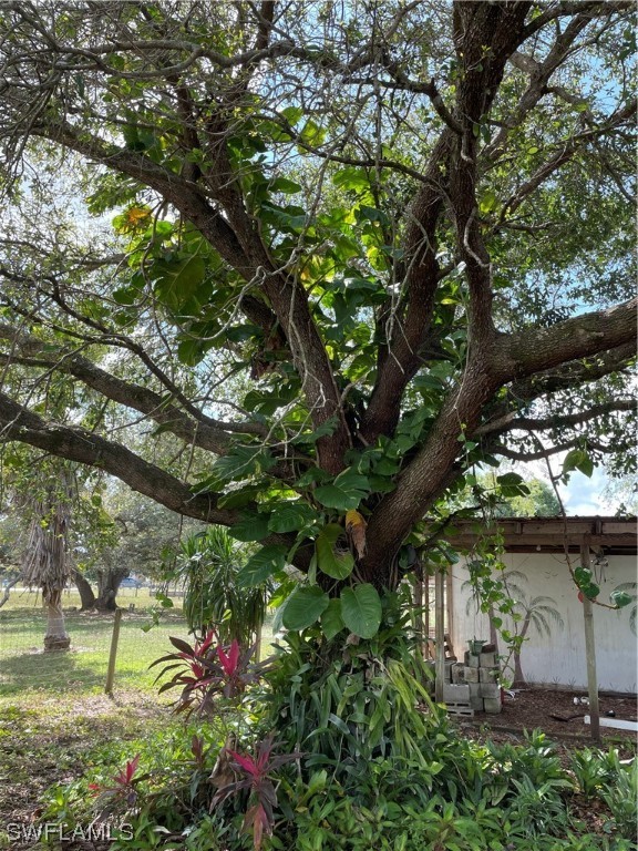 1065 Evans Road LaBelle, FL 33935 - Photo 14 of 50 Gallery Image 14