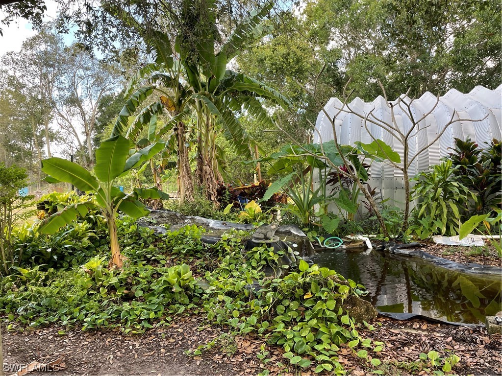 1065 Evans Road LaBelle, FL 33935 - Photo 9 of 50 Gallery Image 9