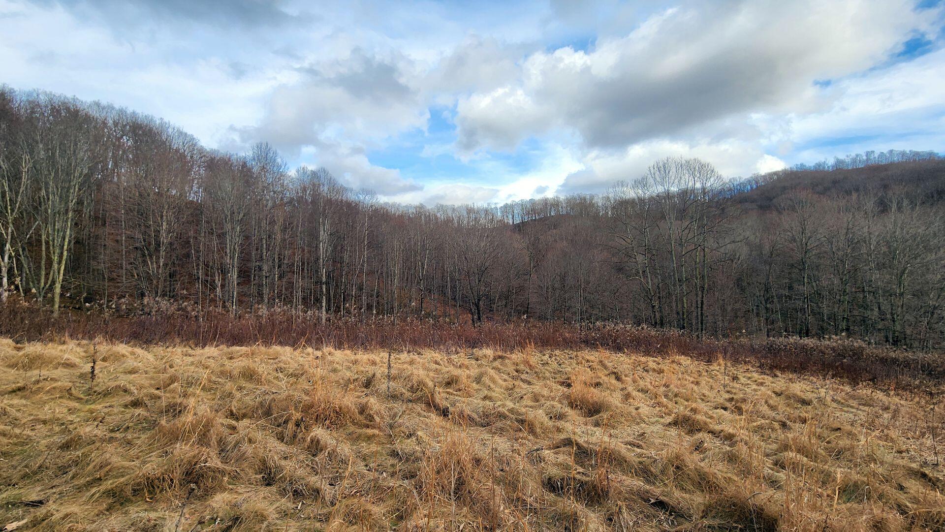969 Simms Mountain Road Meadow Bridge, WV 25976 - Photo 29 of 31 Gallery Image 29