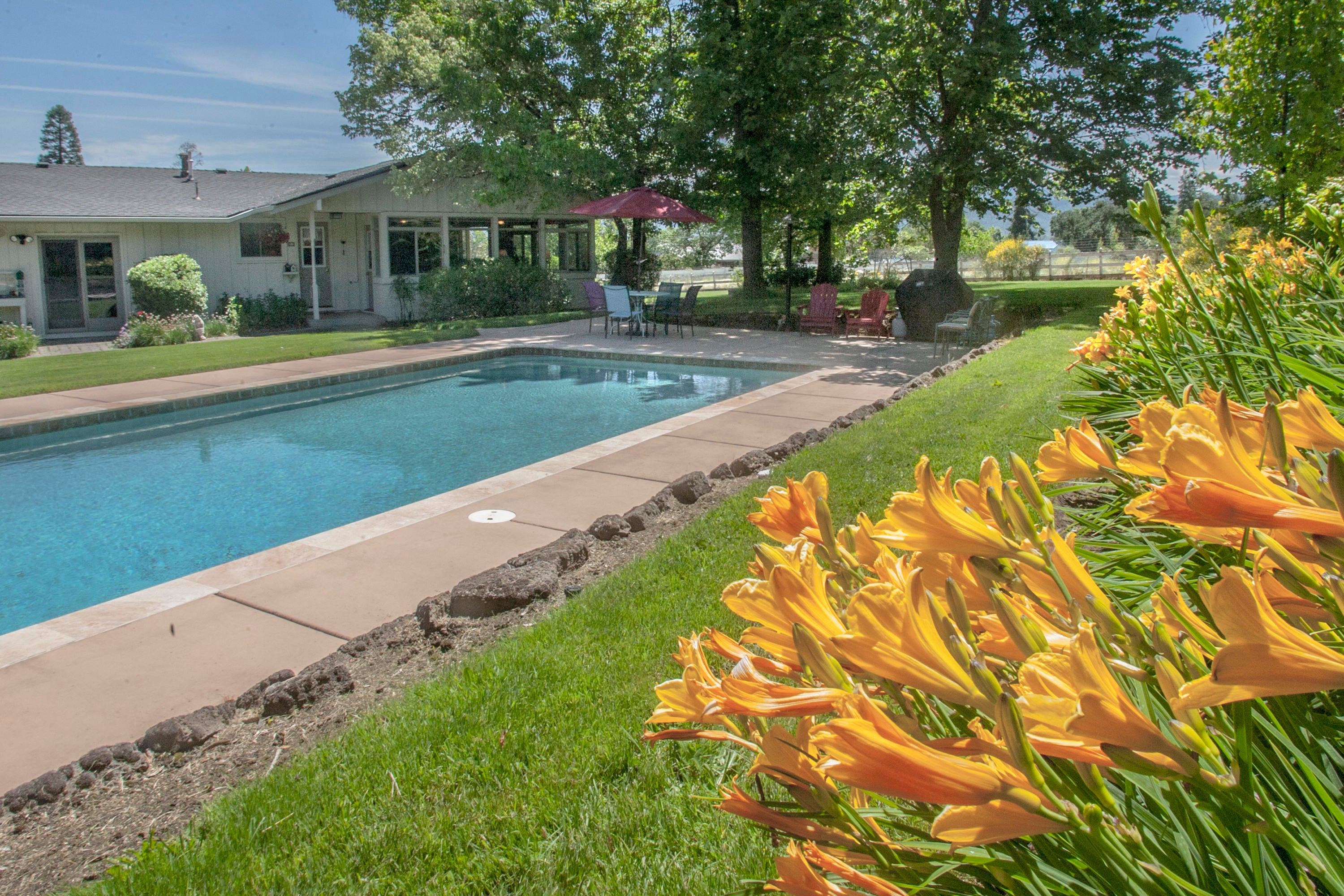 1925 Old Stage Road Central Point, OR 97502 - Photo 25 of 34 Daylilies by the Pool