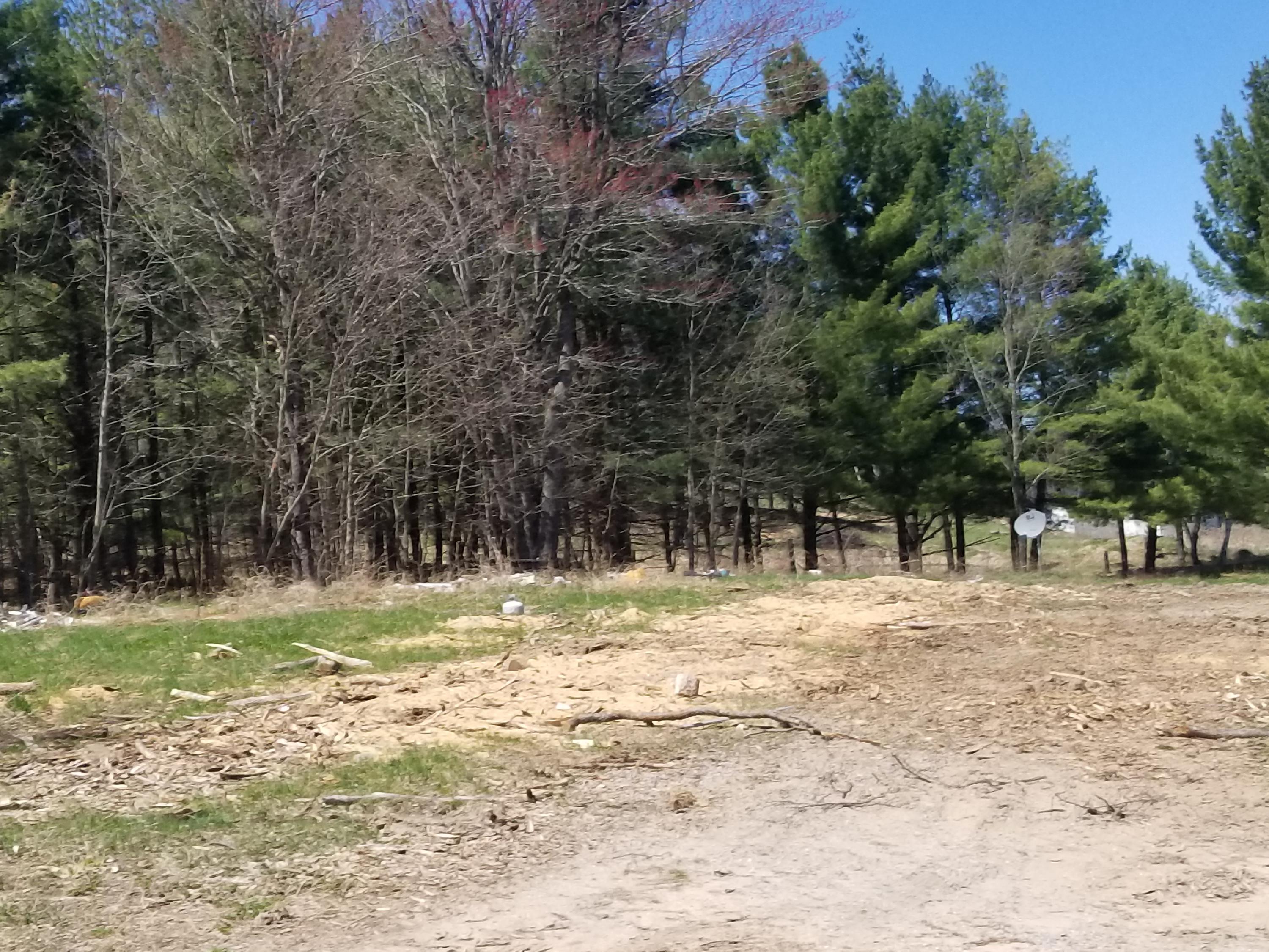286 Ray Road Mio, MI 48647 - Photo 13 of 24 Gallery Image 13