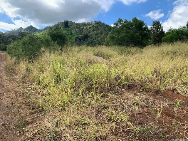 a view of a lake with a city