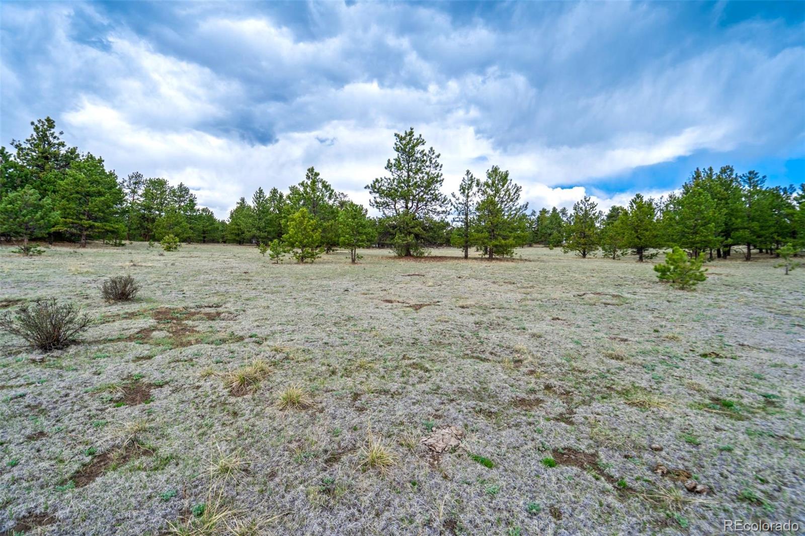 103 Doe Valley Road Guffey, CO 80820 - Photo 13 of 46