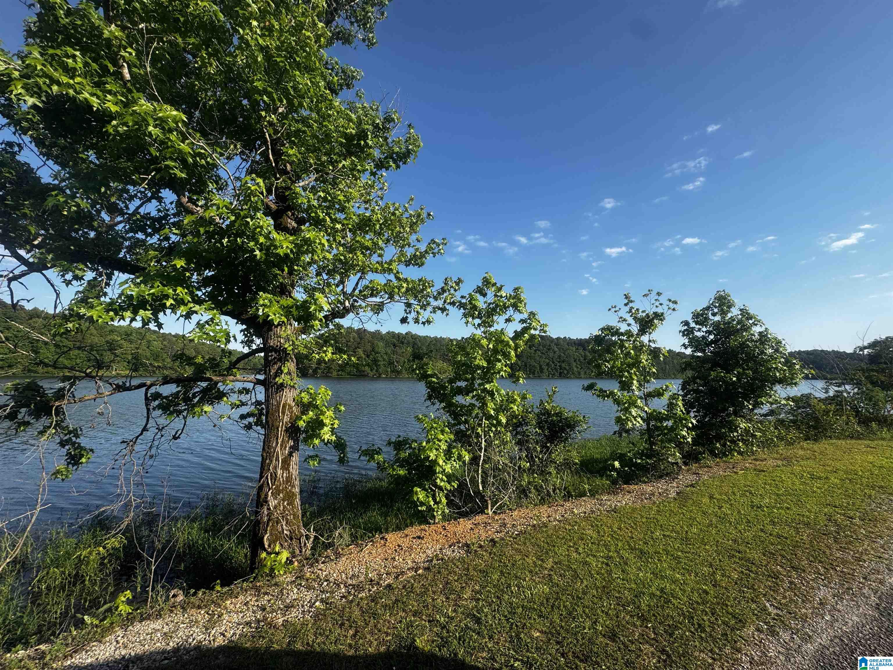 0 Mallard Point, Unit 6 Warrior, AL 35180 - Photo 10 of 13