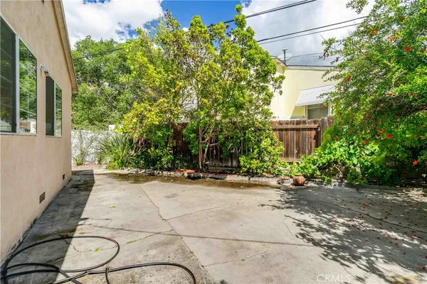 a view of a yard with plants and trees