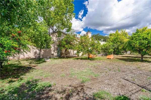 a view of a tree in front of a house
