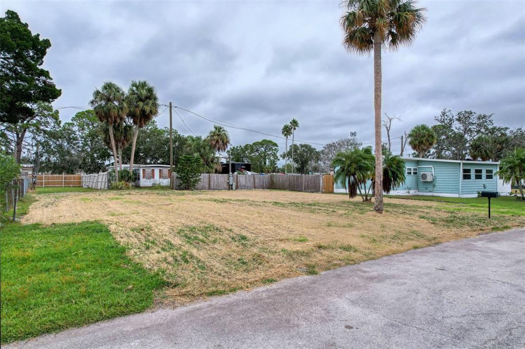 6836 Edgewater Drive New Port Richey, FL 34652 - Photo 17 of 19 a swimming pool with a yard and palm trees