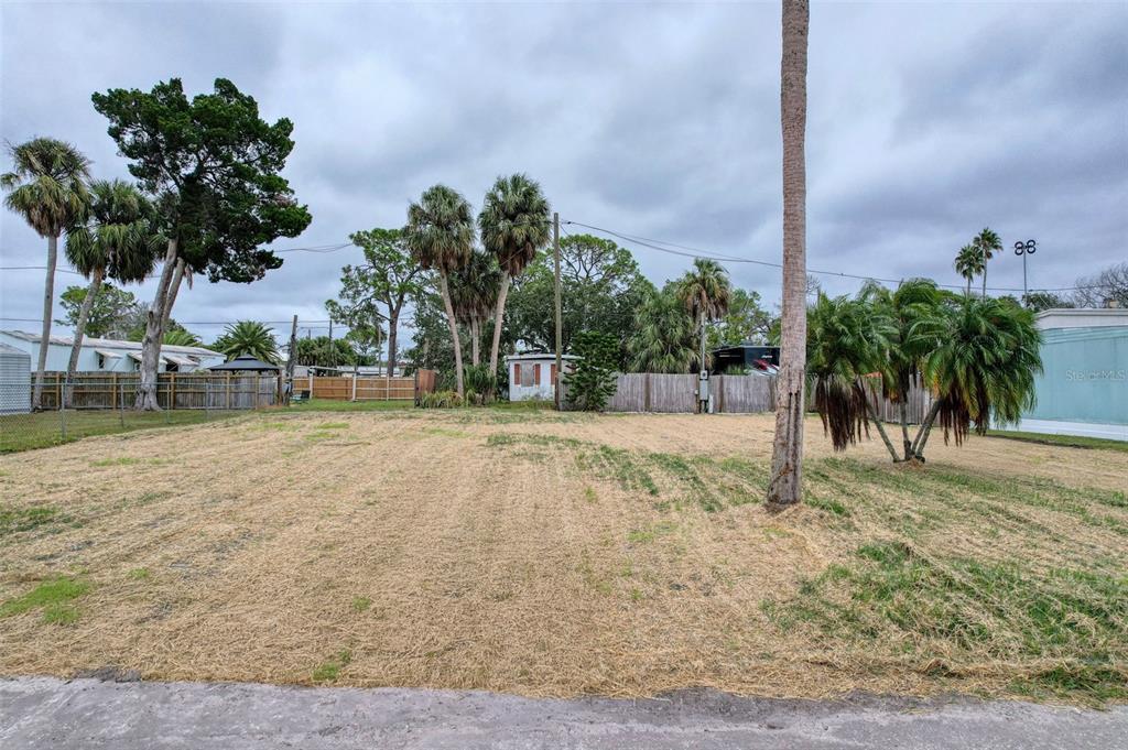 6836 Edgewater Drive New Port Richey, FL 34652 - Photo 18 of 19 a view of a yard with palm tree