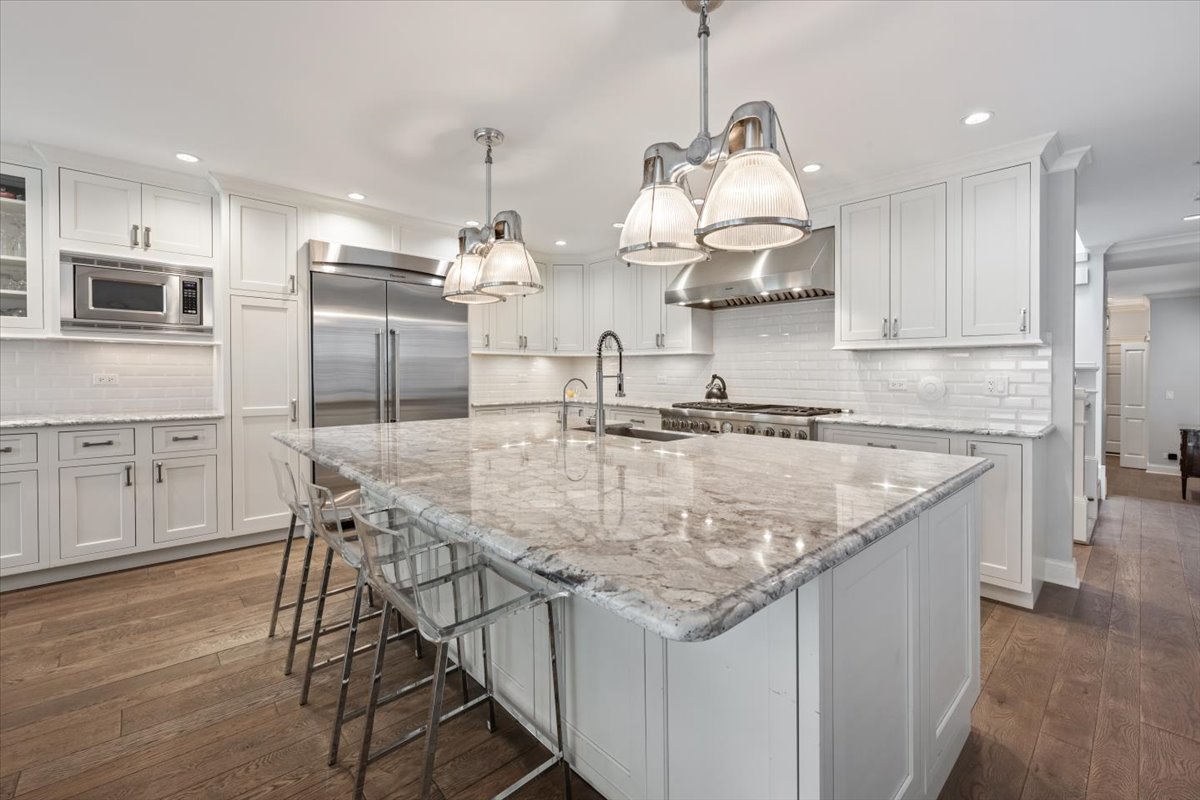 1019 West George Street Chicago, IL 60657 - Photo 3 of 43