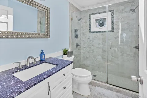 a bathroom with a granite countertop sink a toilet and shower