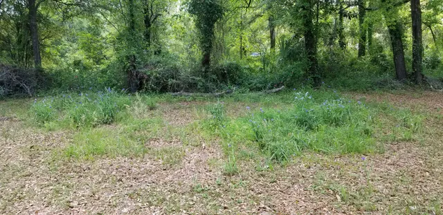 $15,000 | 0 Rabb Street, Walterboro, SC 29488