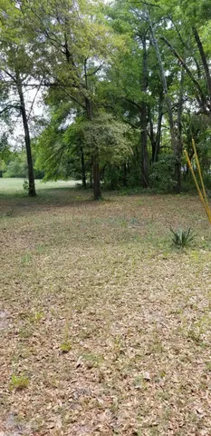 $15,000 | 0 Rabb Street, Walterboro, SC 29488