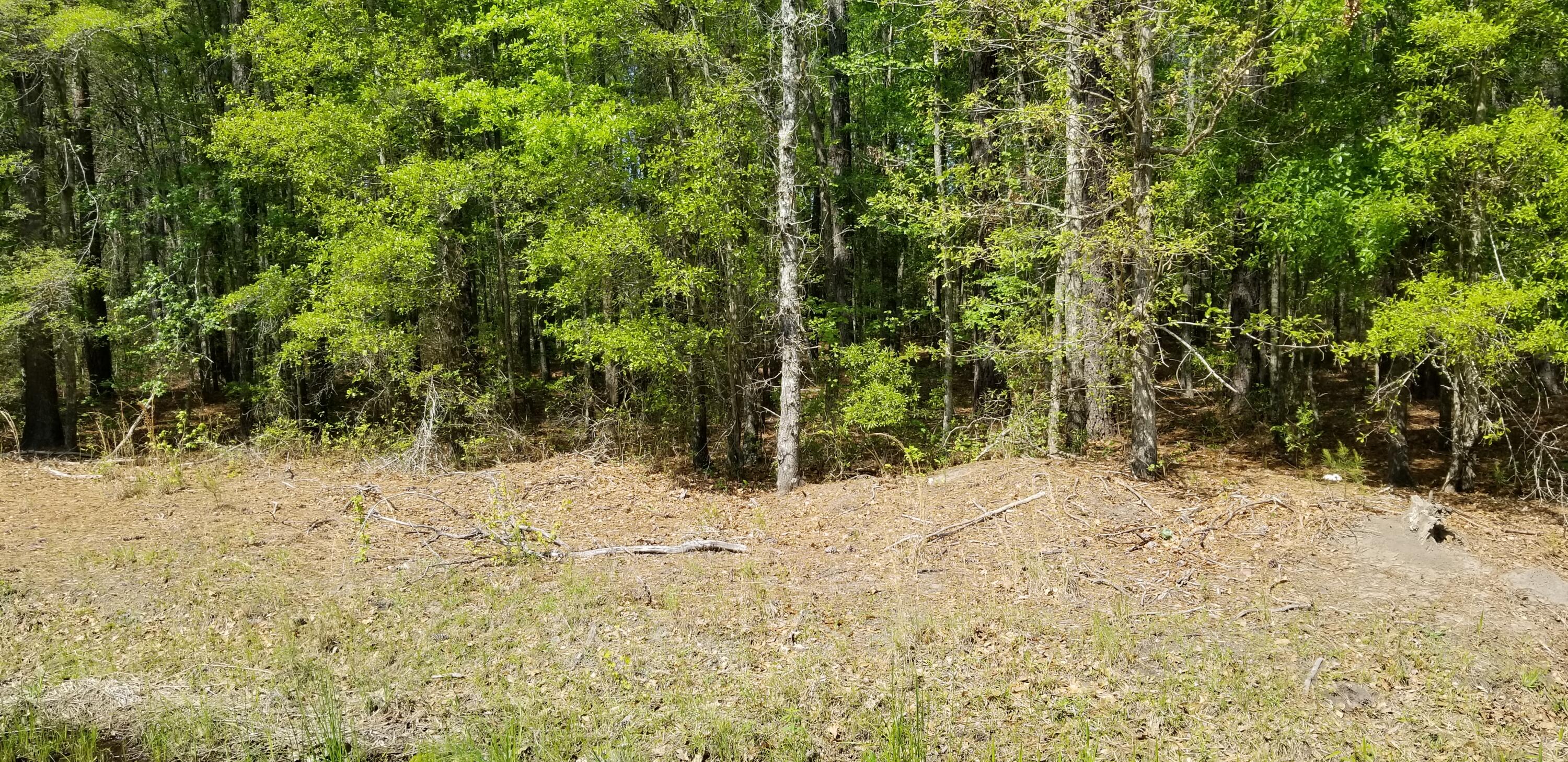 0 Rabb Street Walterboro, SC 29488 - Photo 2 of 11 20250409_151447
