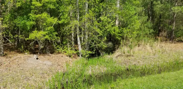 $15,000 | 0 Rabb Street, Walterboro, SC 29488