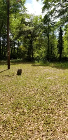 $15,000 | 0 Rabb Street, Walterboro, SC 29488