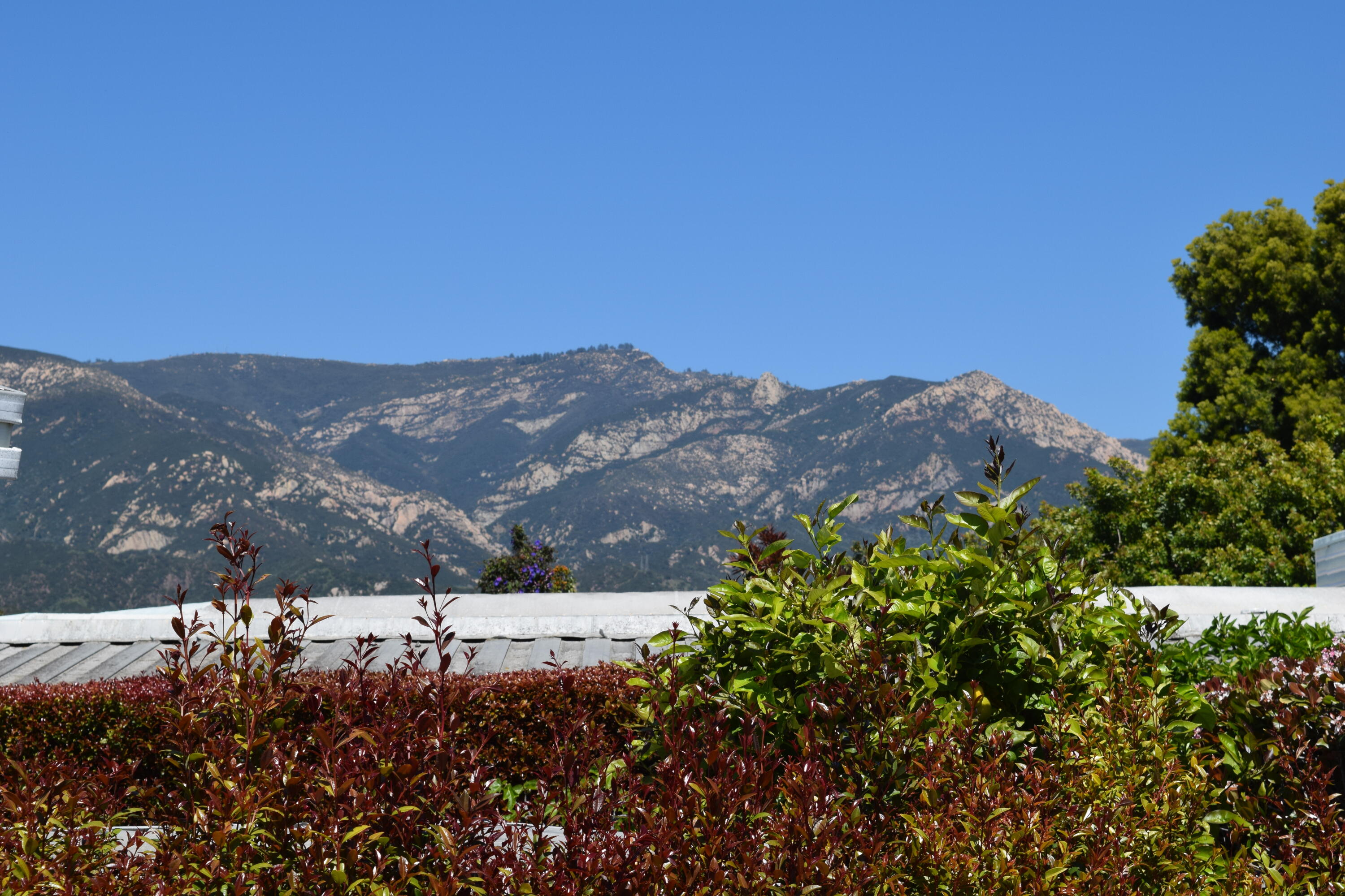 333 Old Mill Road, Unit 52 Santa Barbara, CA 93110 - Photo 12 of 29 a view of a dry yard
