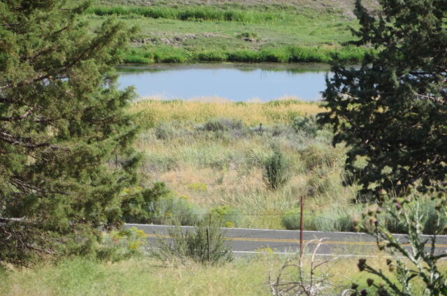 28177 Drews Road Chiloquin, OR 97624 - Photo 3 of 15 More of a close up type view