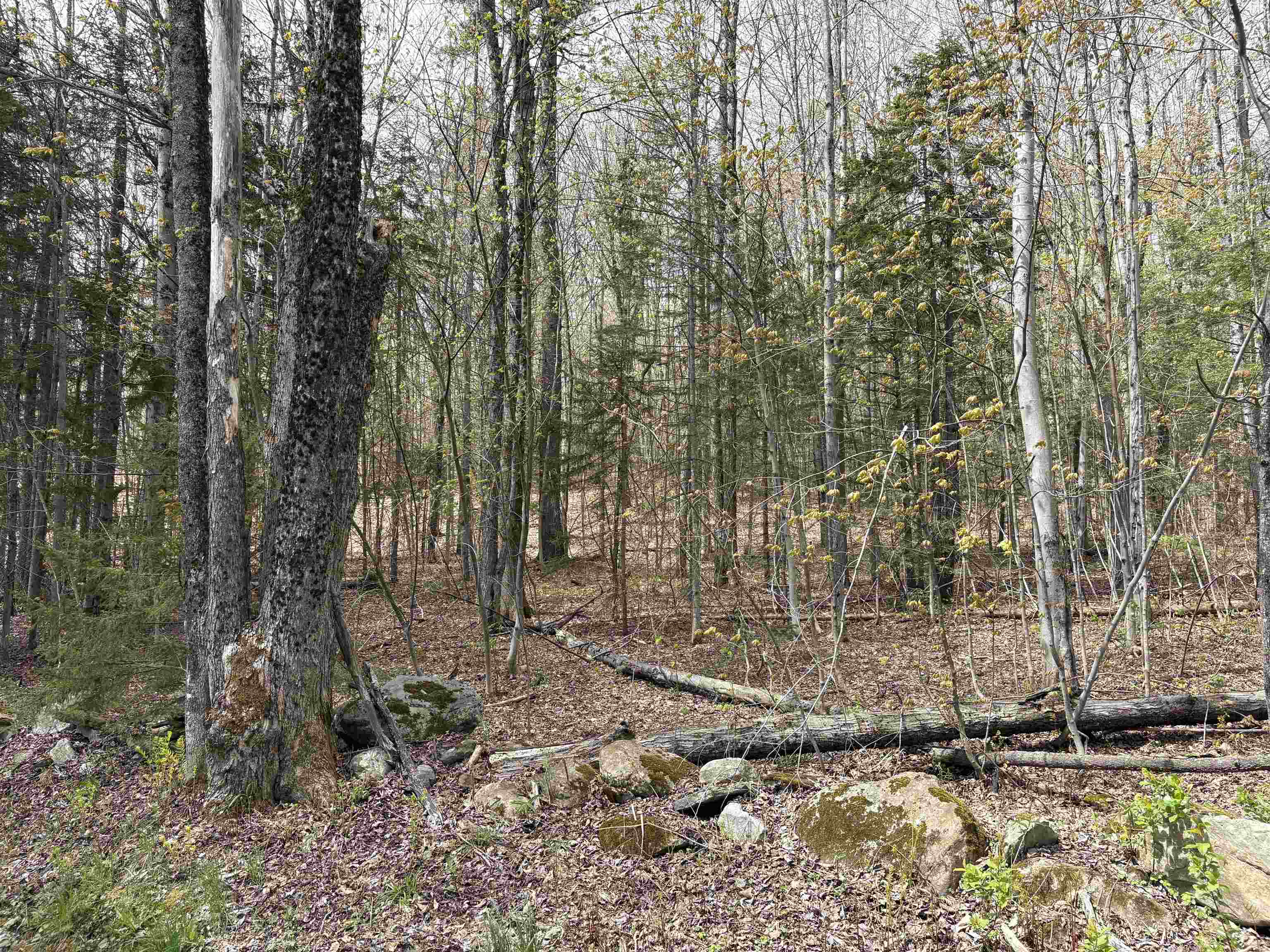 0 East Hill Road Andover, VT 05143 - Photo 13 of 17