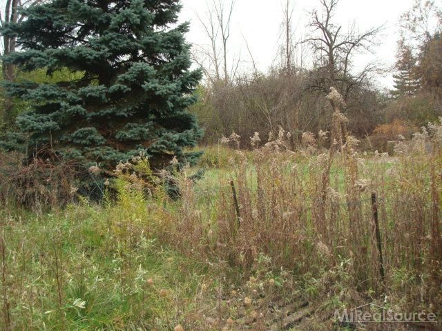 335 Lowery Road Troy, MI 48084 - Photo 9 of 9