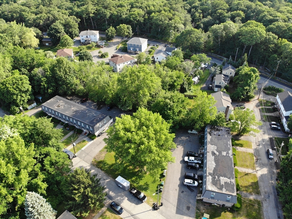 a garden with lots of trees and flowers