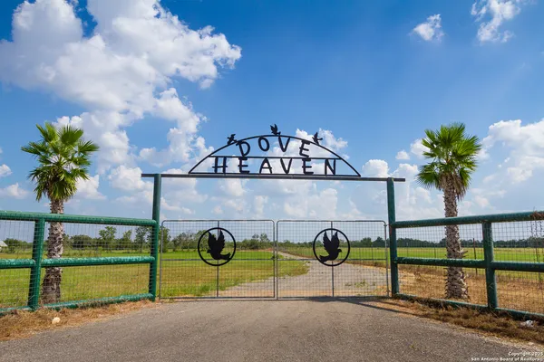 a view of a swimming pool with a bench in front of it