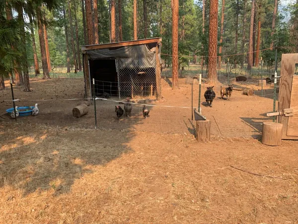 $299,900 | 44992 Old Brown Ranch Road, McArthur, CA 96056