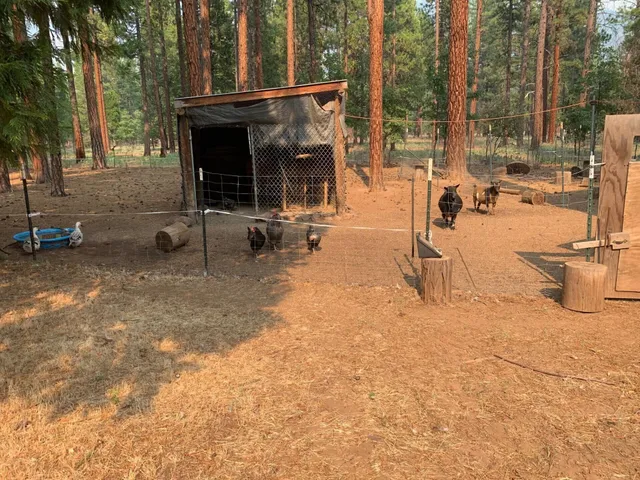 $299,900 | 44992 Old Brown Ranch Road, McArthur, CA 96056