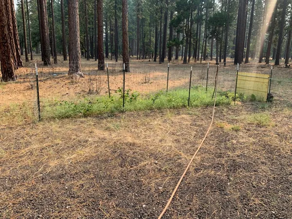 $299,900 | 44992 Old Brown Ranch Road, McArthur, CA 96056