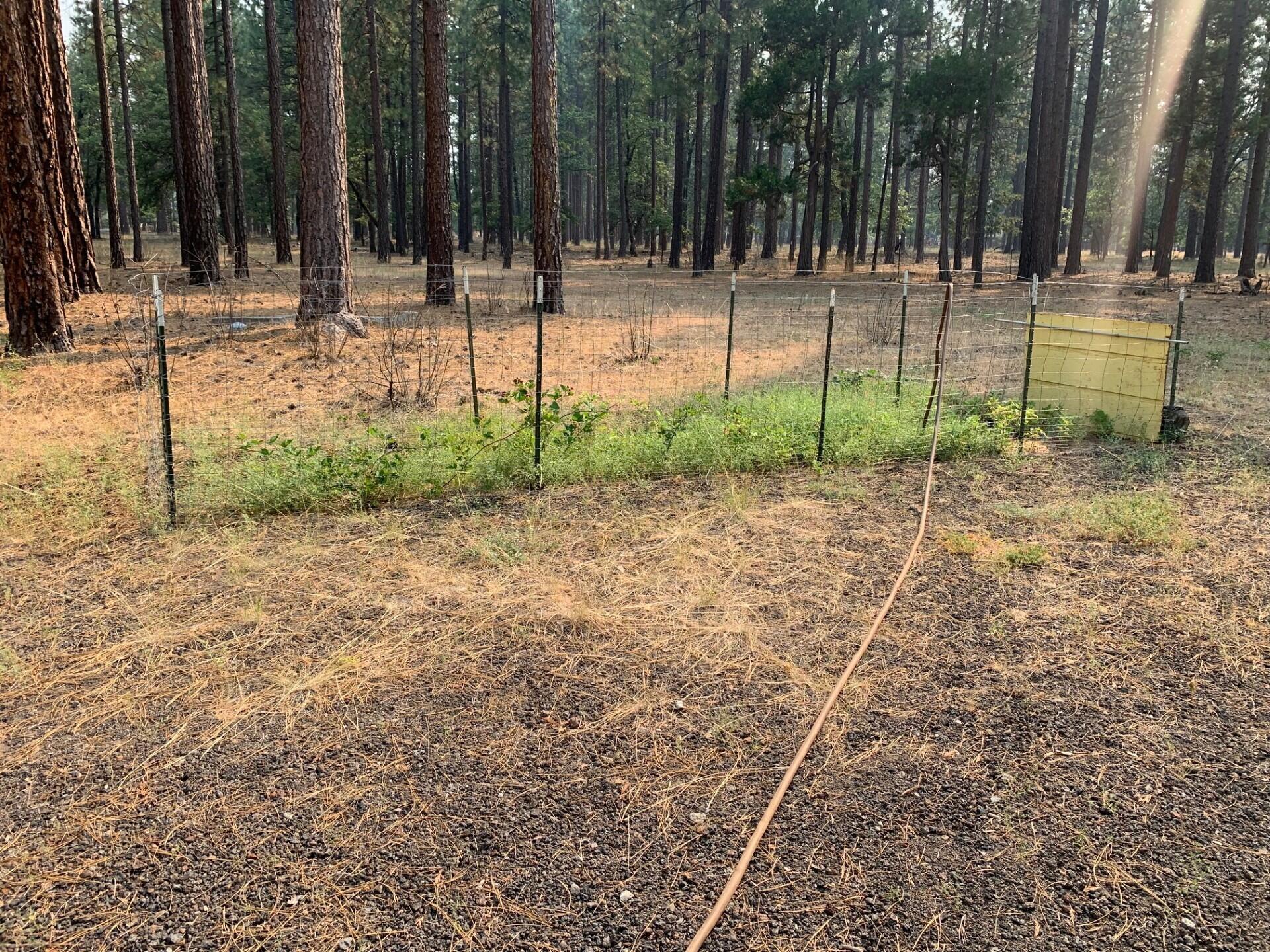 44992 Old Brown Ranch Road McArthur, CA 96056 - Photo 31 of 61 Fenced garden