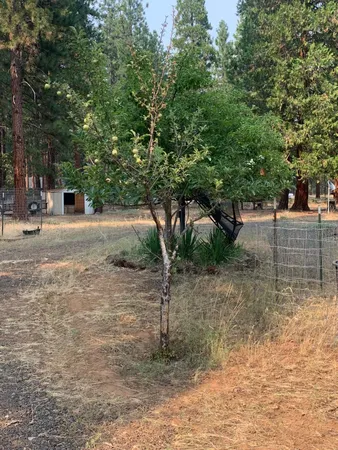 $299,900 | 44992 Old Brown Ranch Road, McArthur, CA 96056