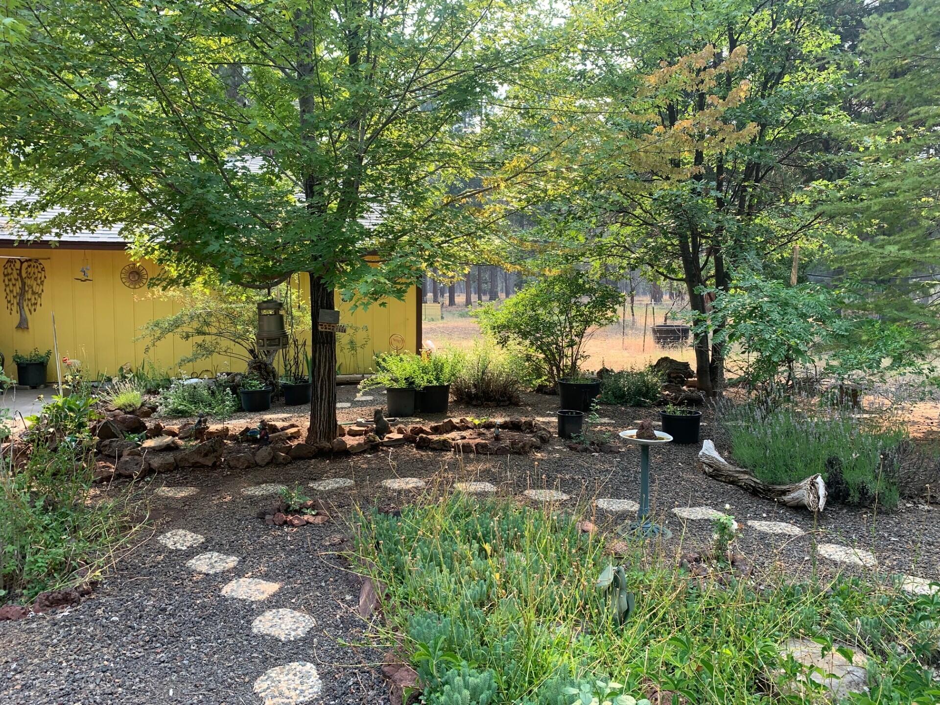 44992 Old Brown Ranch Road McArthur, CA 96056 - Photo 39 of 61 Garden area 5