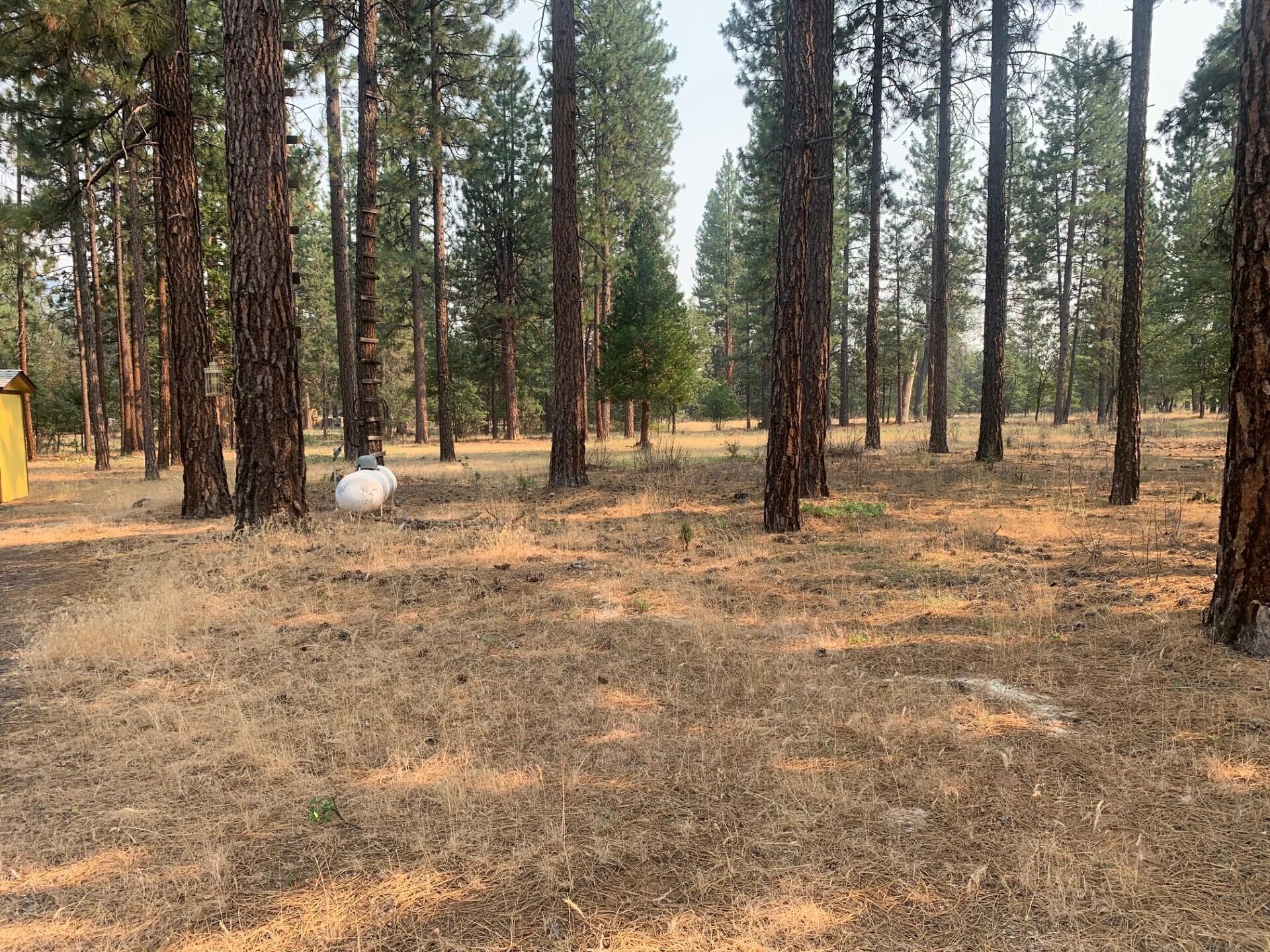 44992 Old Brown Ranch Road McArthur, CA 96056 - Photo 43 of 61 Property and propane tank