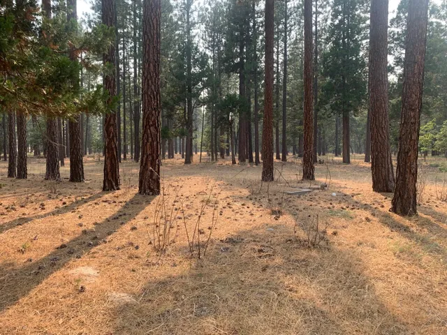 $299,900 | 44992 Old Brown Ranch Road, McArthur, CA 96056