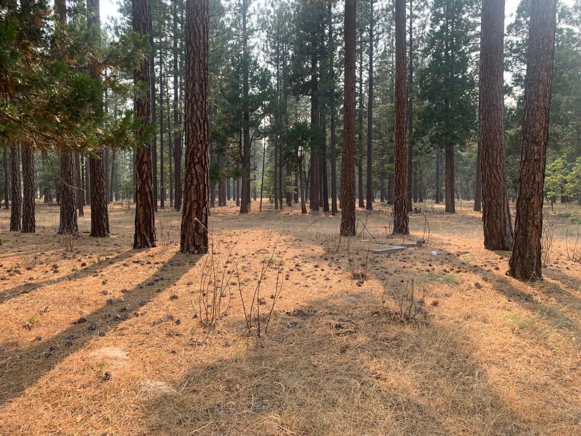 44992 Old Brown Ranch Road McArthur, CA 96056 - Photo 44 of 61 Property