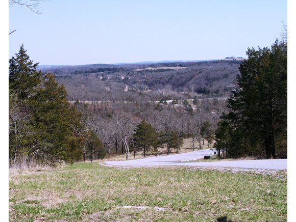 Beechwood/black Forest Ln Branson Lane Reeds Spring, MO 65737 - Photo 1 of 1 Primary Photo