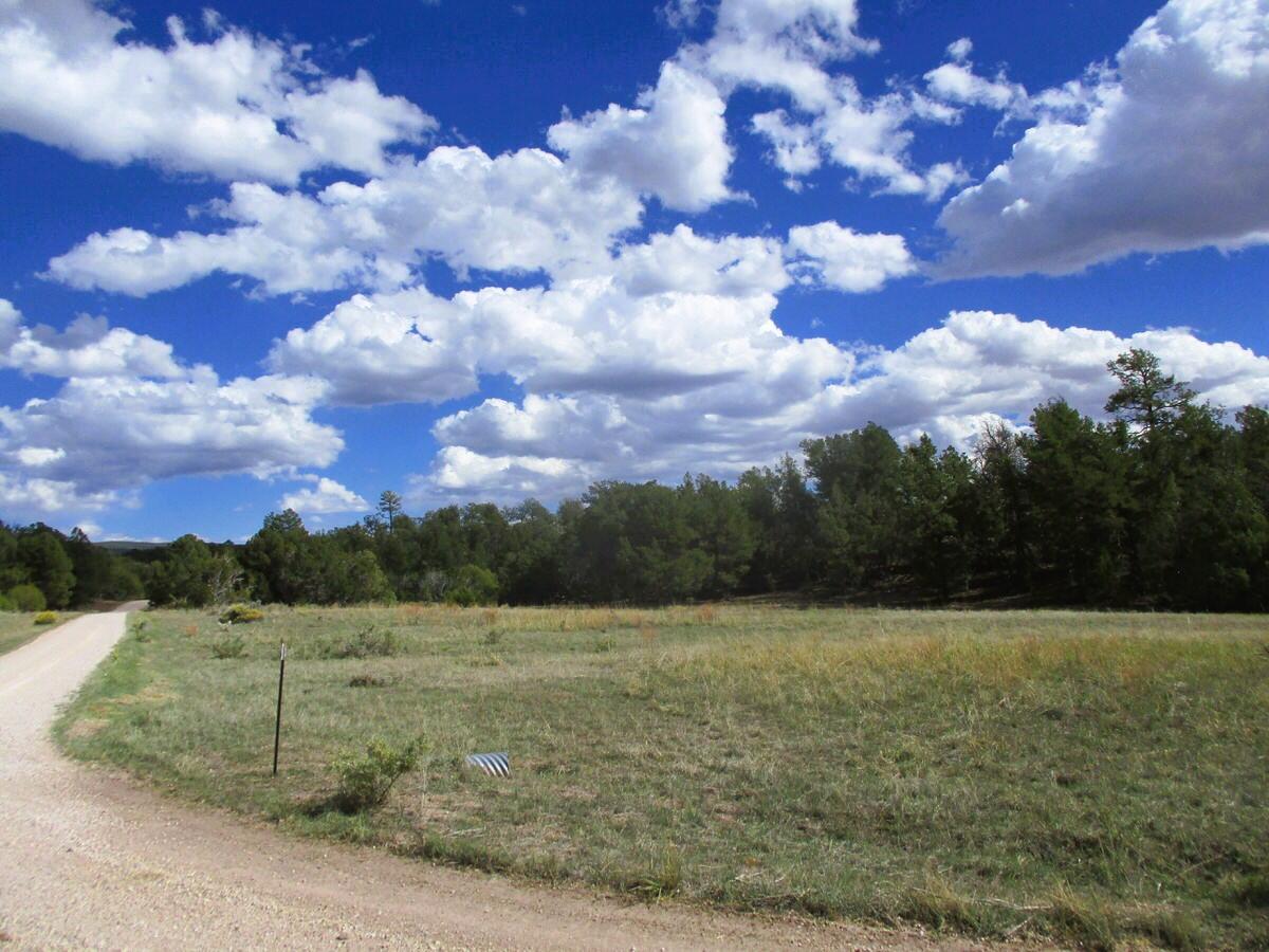 Lot 5 Copperweed Road Ramah, NM 87321 - Photo 17 of 88 Gallery Image 17