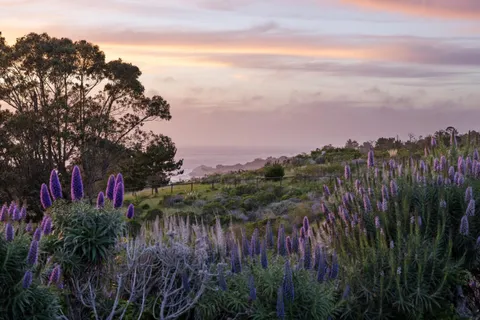 $9,000,000 | 31475 Highway 1, Carmel, CA 93923