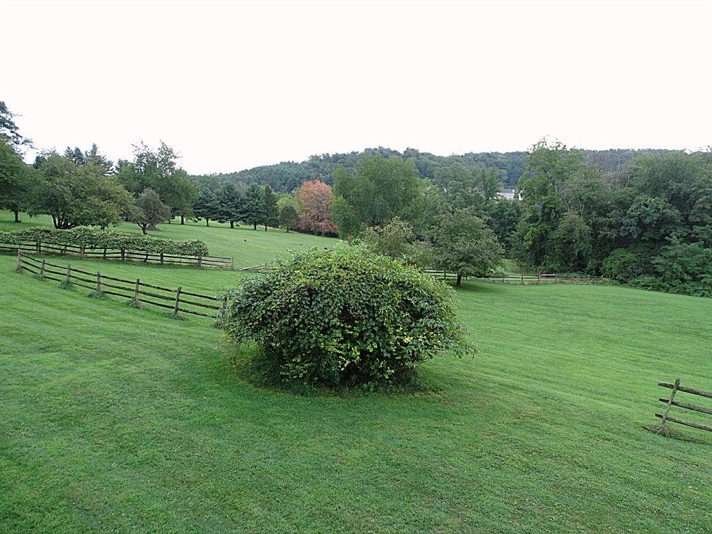 82 McBride Road Canonsburg, PA 15317 - Photo 22 of 25 Deck View!