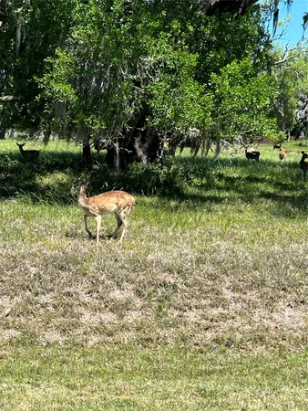 $27,000 | 131 Hidden Horse Trail, Angleton, TX 77515