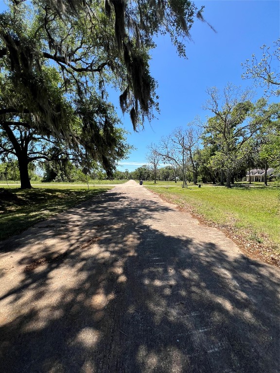 131 Hidden Horse Trail Angleton, TX 77515 - Photo 4 of 14 a view of a yard with a tree