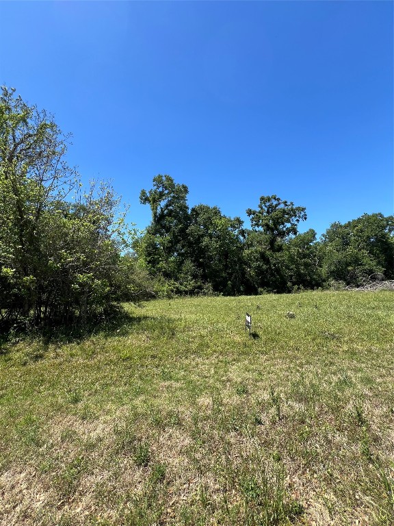 131 Hidden Horse Trail Angleton, TX 77515 - Photo 6 of 14 a view of a yard with a tree